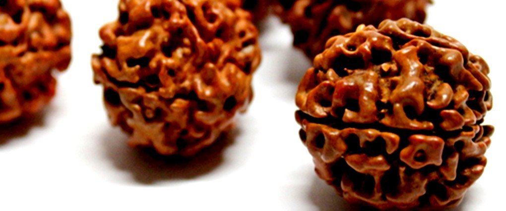 Rudraksha vertus