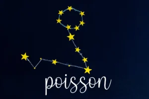 constellation poisson