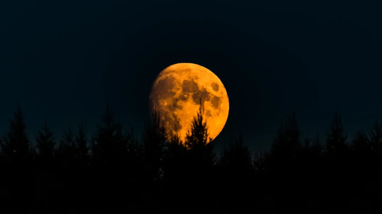 Comment Énergiser Votre Rudraksha avec la Pleine Lune